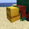 Rolling Sniffer