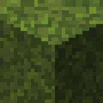 Moss Propagation