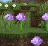 Flower Plains