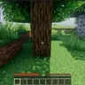 TimberReplant