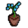 CraftFlowers