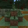 NaturalGrowth