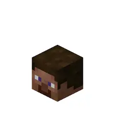 PlayerHead