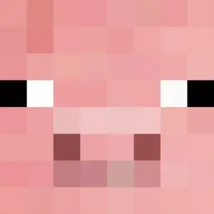 Point capture plugin