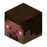 Death Spectate
