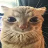 CombatLogPlugin