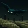 PassivePhantoms