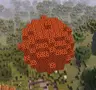 Meteorites