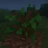 Sapling Replanter