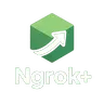 Ngrok+