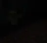Darkness