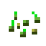 Sneak Grow
