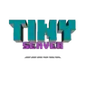 tiny server