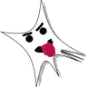 SparkLie