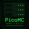 PicoMC