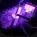 Shattered SMP