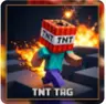 Tnt tag minigames