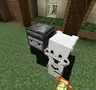 Block to head