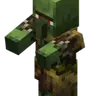 VillagerInfect