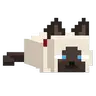 Catsnip