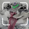 LibreLogin Redux
