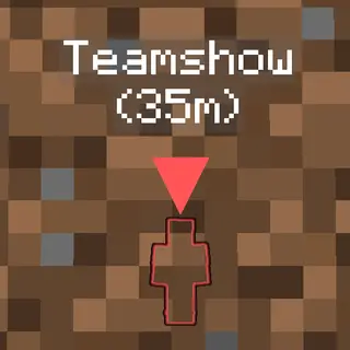 Teamshow