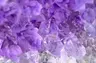 rxvy's amethyst tools