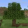 Flying Tree