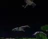Bigger Phantoms