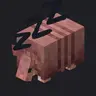 ArmadilloSleeper