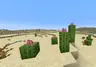 CactusOverheadGrowth