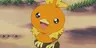 my friend is a chicken