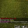 Chanyoris MMO