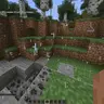 Randomized teleport