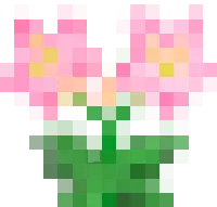 Many Flowers