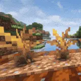 Crops Need Sky