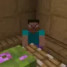 Polysit