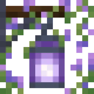 Aurora's Decorations
