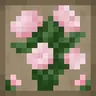 Ornamental Plants