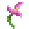 Desertification