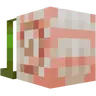 Backpacked: Shells