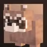 Raccoon
