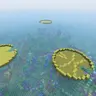 Giant Lily Pads