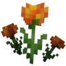 Marigolds