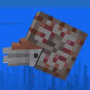 Complementary Nautilus