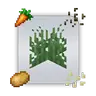 Let The Seeds Drop