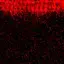The Severed Faith (Horror)