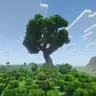 Giant Oak Tree