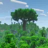 Giant Jungle Tree
