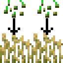 quickreplant